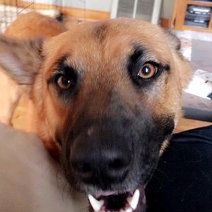 Meet your Posher, Tracy